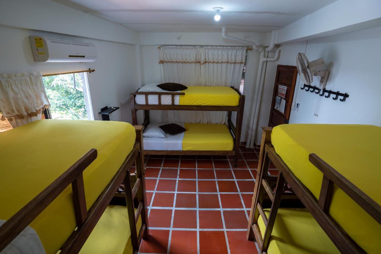 Hostal Coco Bomgo Minca Exteriör bild