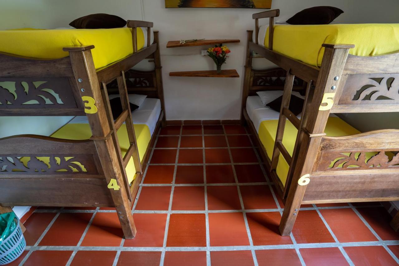 Hostal Coco Bomgo Minca Exteriör bild